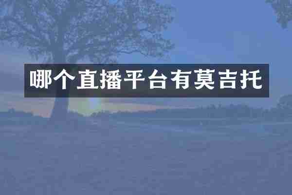 哪个直播平台有莫吉托