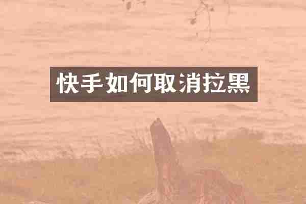 快手如何取消拉黑