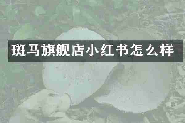 斑马旗舰店小红书怎么样