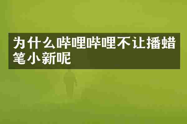 为什么哔哩哔哩不让播蜡笔小新呢