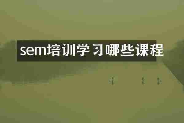 sem培训学习哪些课程