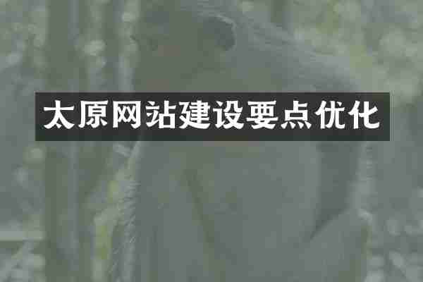 太原网站建设要点优化