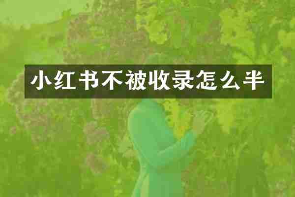 小红书不被收录怎么半