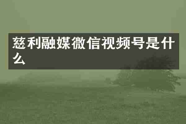 慈利融媒微信视频号是什么