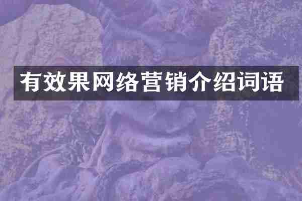 有效果网络营销介绍词语