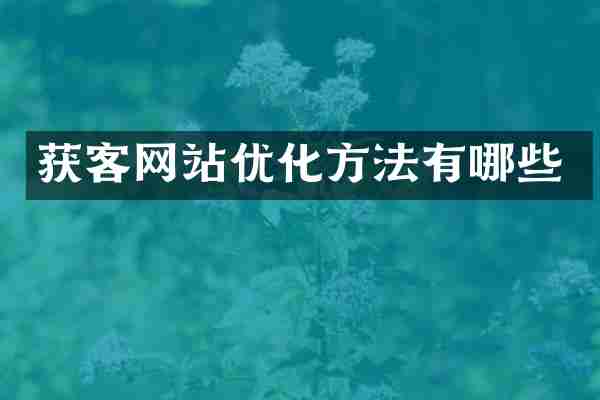 获客网站优化方法有哪些