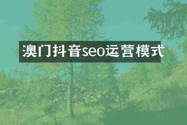 澳门抖音seo运营模式