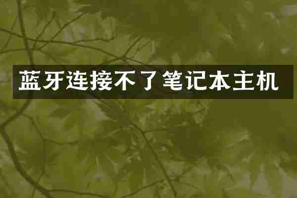 蓝牙连接不了笔记本主机