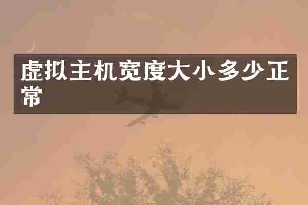 虚拟主机宽度大小多少正常