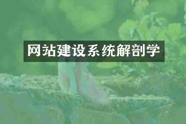 网站建设系统解剖学