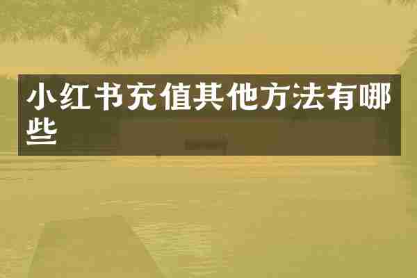 小红书充值其他方法有哪些