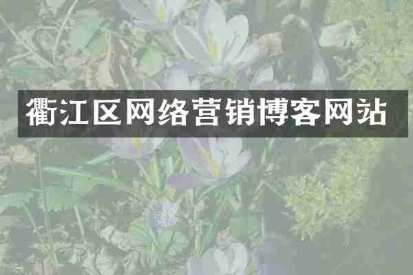 衢江区网络营销博客网站