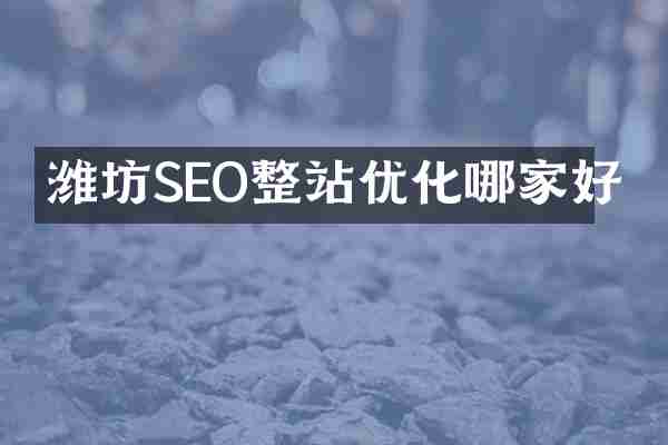 潍坊SEO整站优化哪家好