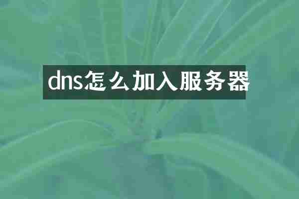 dns怎么加入服务器