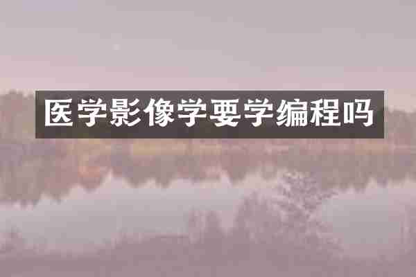 医学影像学要学编程吗