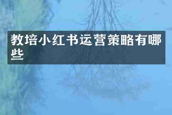 教培小红书运营策略有哪些