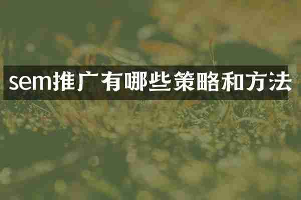 sem推广有哪些策略和方法