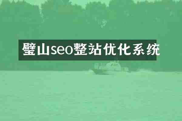 璧山seo整站优化系统