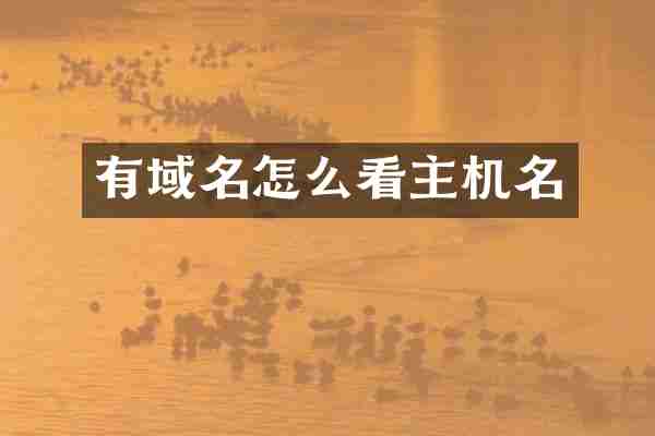 有域名怎么看主机名