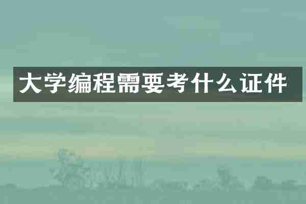 大学编程需要考什么证件