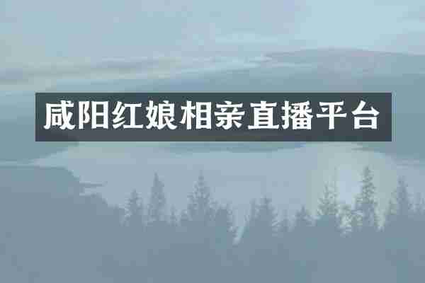 咸阳红娘相亲直播平台