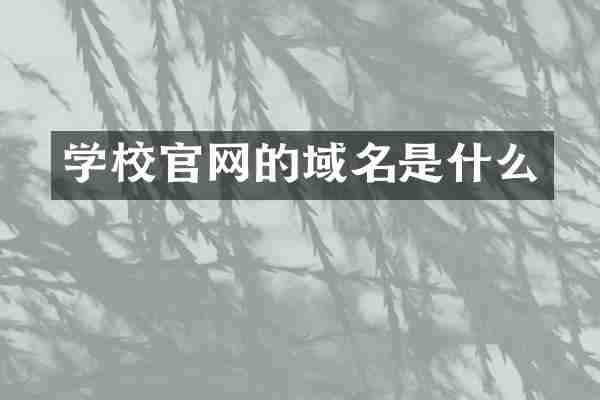 学校官网的域名是什么