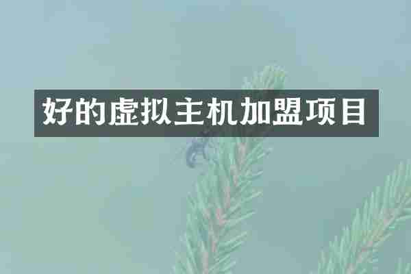 好的虚拟主机加盟项目