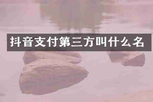 抖音支付第三方叫什么名