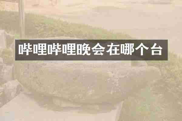 哔哩哔哩晚会在哪个台