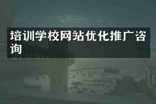 培训学校网站优化推广咨询
