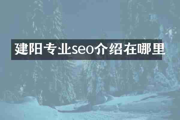 建阳专业seo介绍在哪里