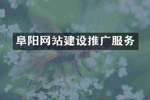 阜阳网站建设推广服务