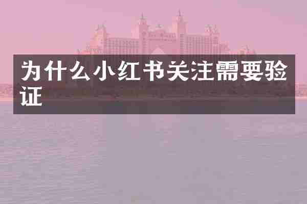 为什么小红书关注需要验证