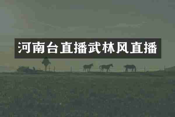 河南台直播武林风直播
