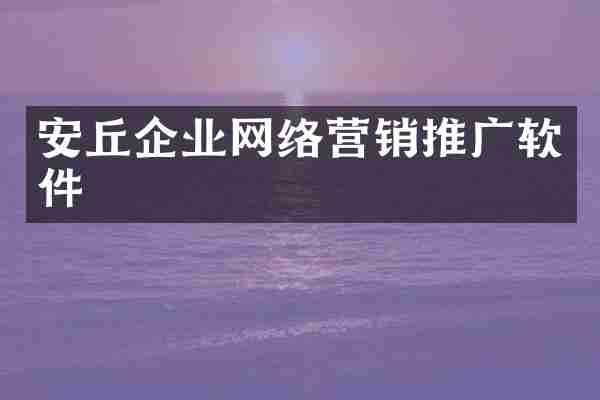 安丘企业网络营销推广软件
