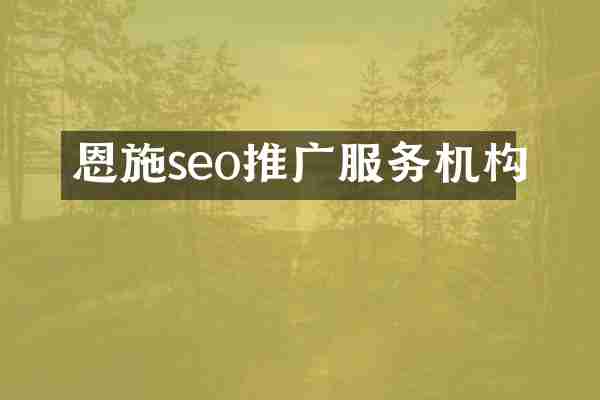 恩施seo推广服务机构