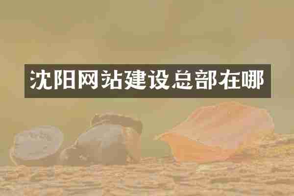 沈阳网站建设总部在哪