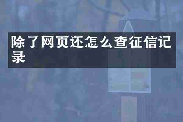 除了网页还怎么查征信记录