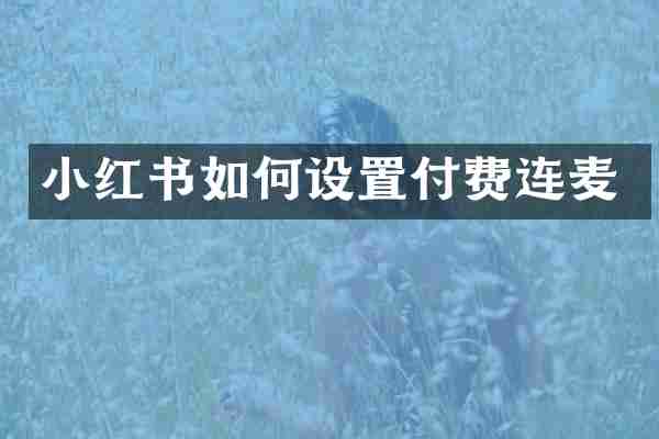 小红书如何设置付费连麦