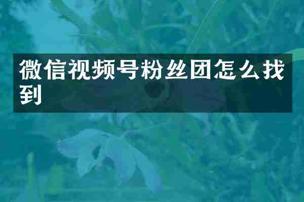 微信视频号粉丝团怎么找到