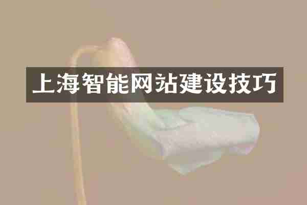 上海智能网站建设技巧