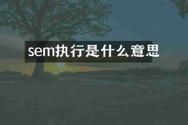 sem执行是什么意思