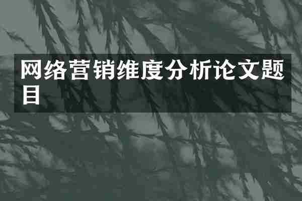 网络营销维度分析论文题目