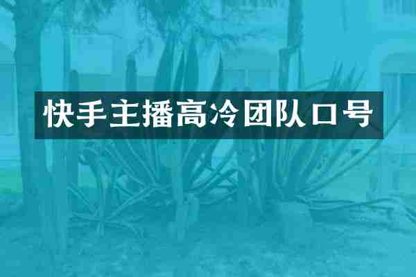 快手主播高冷团队口号