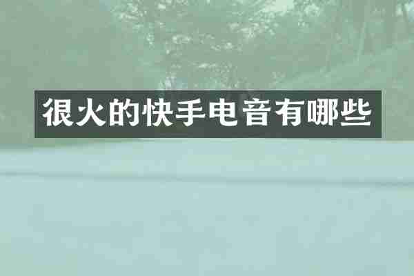 很火的快手电音有哪些