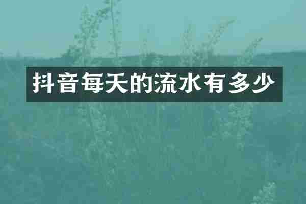 抖音每天的流水有多少