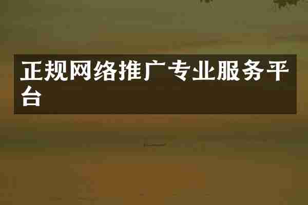 正规网络推广专业服务平台