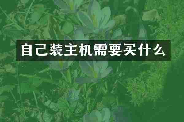 自己装主机需要买什么