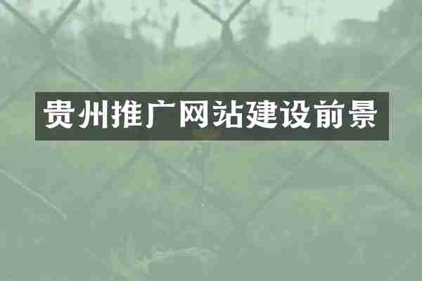 贵州推广网站建设前景