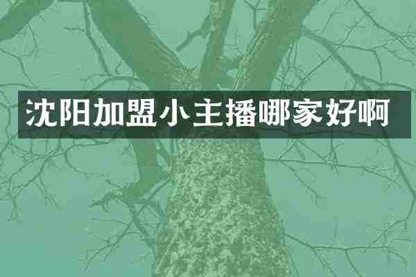 沈阳加盟小主播哪家好啊